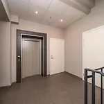 Apartment Grizinkalns With Free Parking Riga