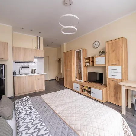 Grizinkalns Studio Apartments Riga