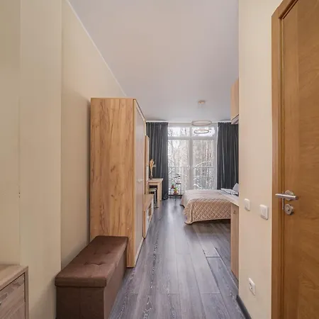 Apartment Grizinkalns Studio Apartments Riga