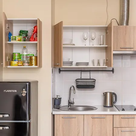 Grizinkalns Studio Apartments * Riga