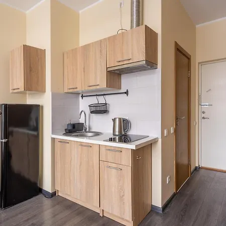 Apartment Grizinkalns Studio Apartments