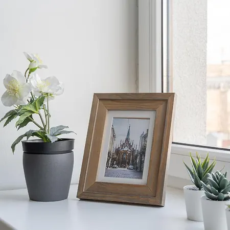 Grizinkalns Studio Apartments * Riga