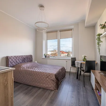 Grizinkalns Studio Apartments