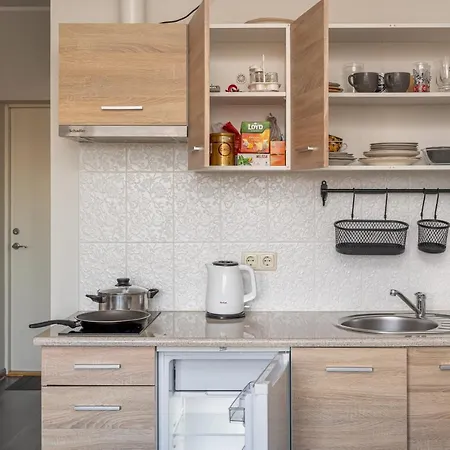 Apartment Grizinkalns With Free Parking Riga