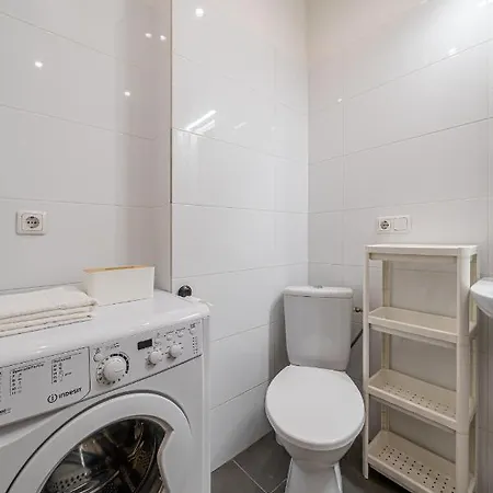 Grizinkalns Studio Apartments * Riga