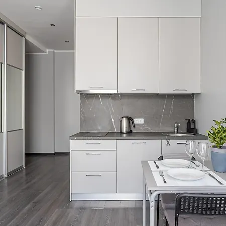 Grizinkalns Studio Apartments Riga