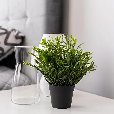 Grizinkalns With Free Parking Appartement