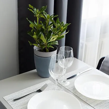 Grizinkalns Studio Apartments *