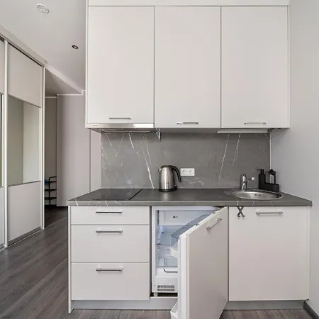 Apartment Grizinkalns With Free Parking Riga