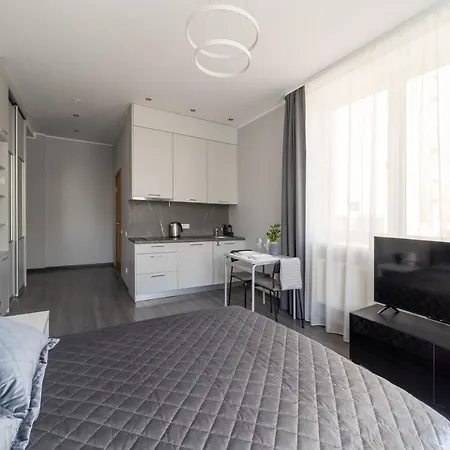 Grizinkalns Studio Apartments Riga