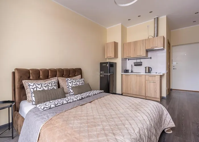 Apartment Grizinkalns With Free Parking *