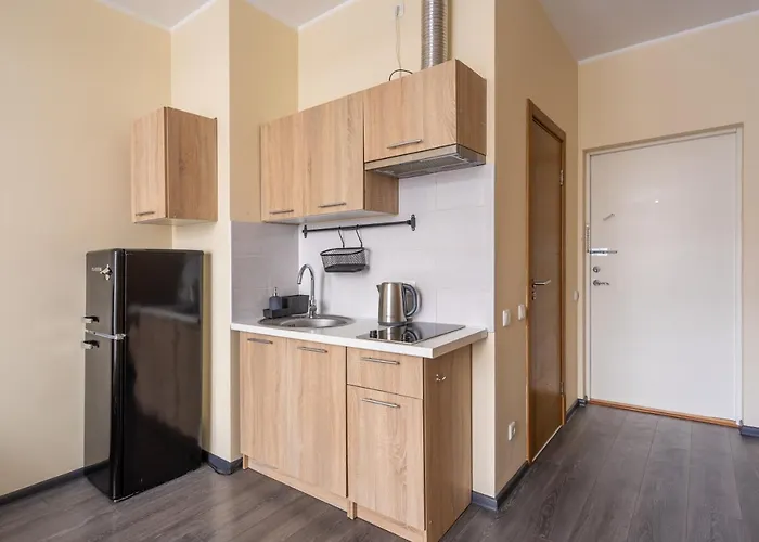 Apartment Grizinkalns With Free Parking