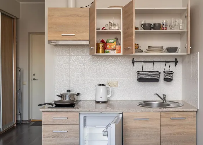 Apartment Grizinkalns With Free Parking Riga