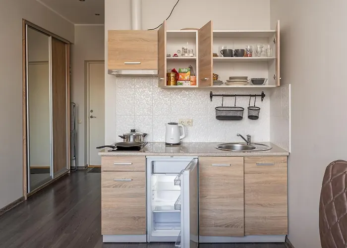 Apartment Grizinkalns With Free Parking Riga