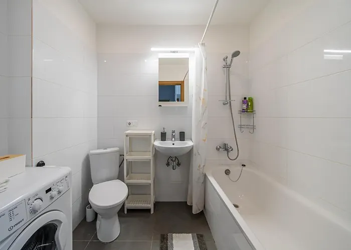 Apartment Grizinkalns With Free Parking Riga