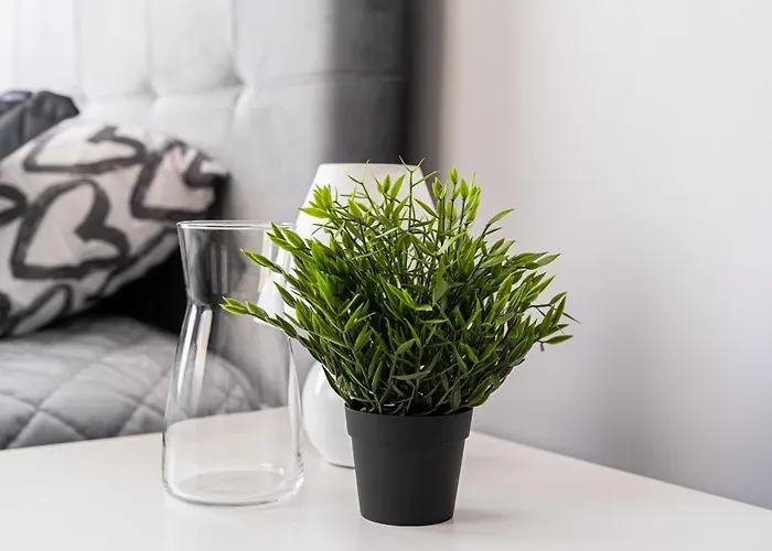 Grizinkalns With Free Parking Apartment