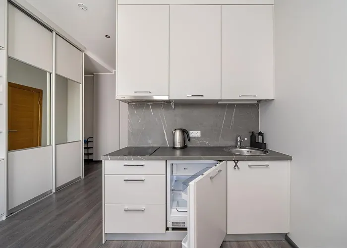 Apartment Grizinkalns With Free Parking Riga